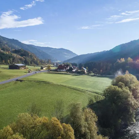 Chalet Kreischberg Chalet 31a